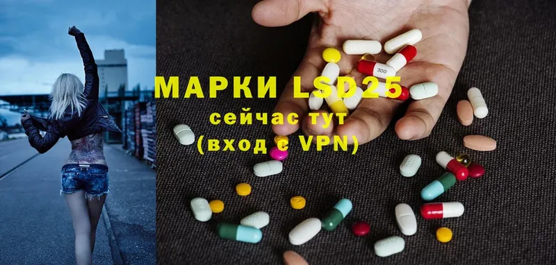 дарнет шоп  Курганинск  Лсд 25 экстази ecstasy 